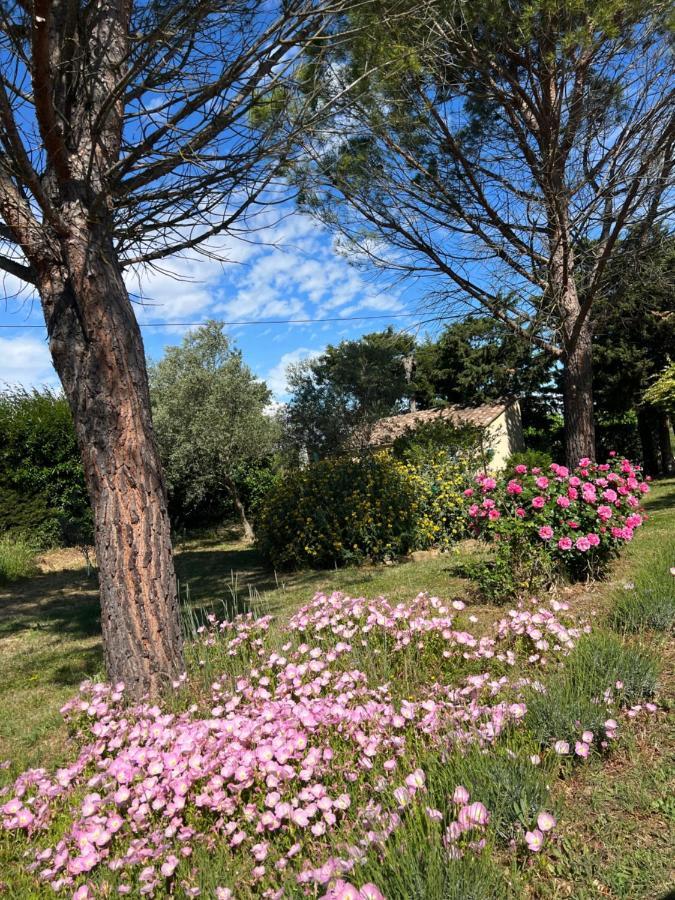 Mas De L'Estiou Appartement Monteux Buitenkant foto